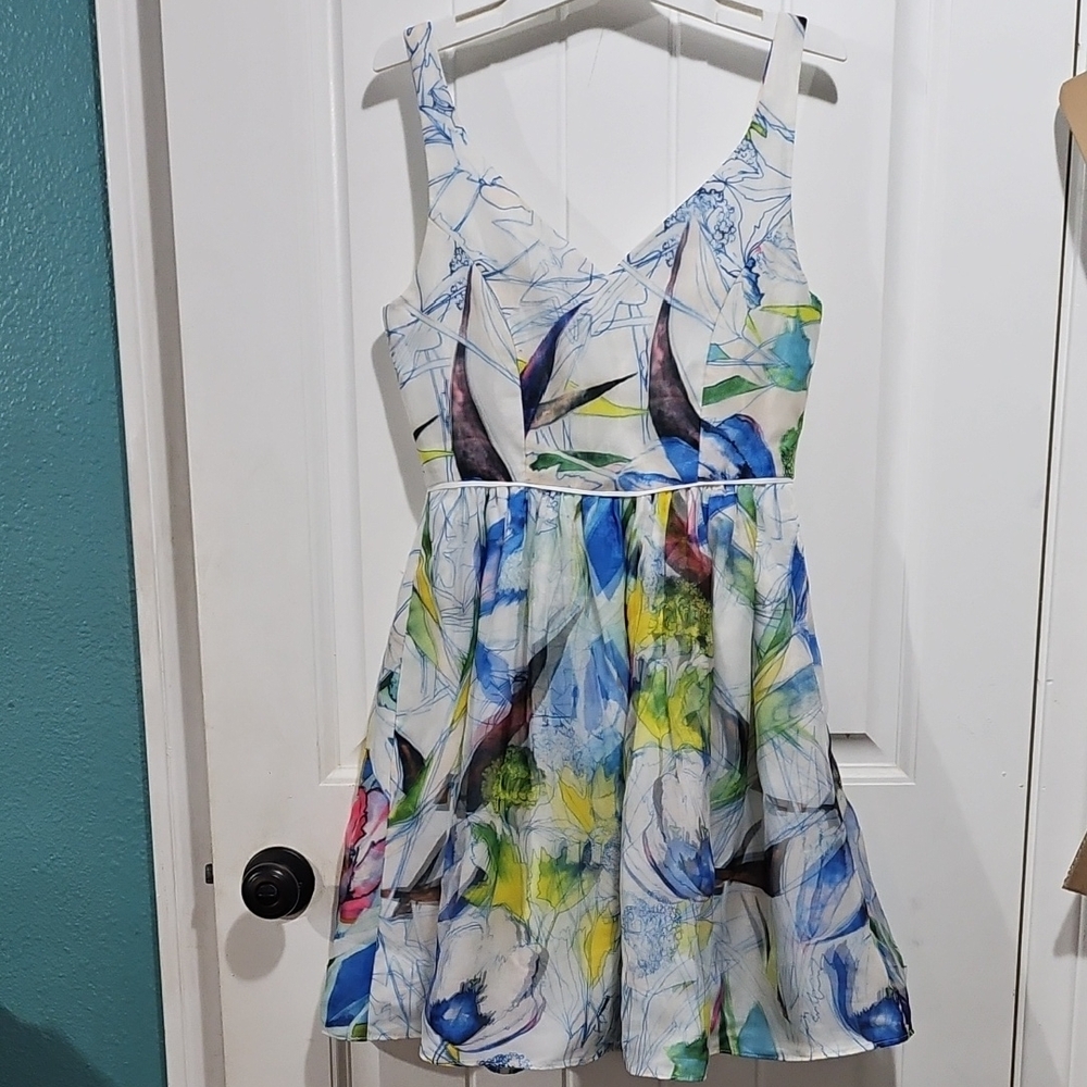Everly Multicolor Floral Dress
